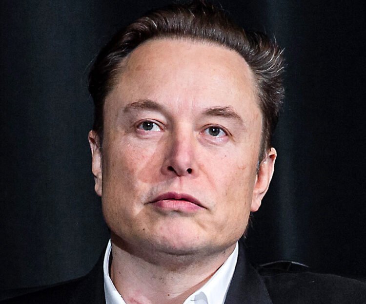 Musk offers $1 million for civil lawsuit: “They left Nowak to bleed”
