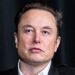 Musk offers $1 million for civil lawsuit: “They left Nowak to bleed”
