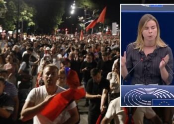 The protests for the overthrow of the Rama government are the subject of discussion in the EP, the Dutch MEP: Public money goes to a privileged group