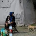 Trap, neuter, release: Jakarta battles cat-astrophic stray numbers