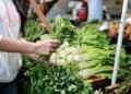 The healthiest vegetables in the world are also hidden in our markets: Here are ideas on how to make fantastic meals