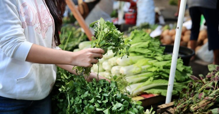 The healthiest vegetables in the world are also hidden in our markets: Here are ideas on how to make fantastic meals