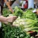 The healthiest vegetables in the world are also hidden in our markets: Here are ideas on how to make fantastic meals