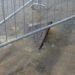 Jutarnji list – PHOTO The storm completely flooded the streets of Koprivnica, the director of KC Voda announced: ‘The system was working…’