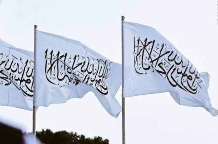 new changes in the administrative structure of the Taliban; Five officials were appointed in different institutions