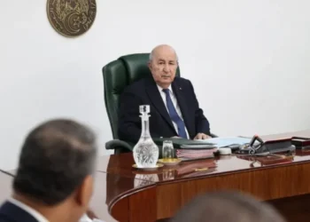 The most important decisions of the Council of Ministers – Al-Watan: Al-Khobar