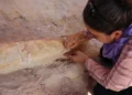 An exceptional archaeological discovery in Algeria – Culture: Al-Khobar