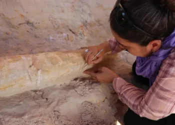 An exceptional archaeological discovery in Algeria – Culture: Al-Khobar