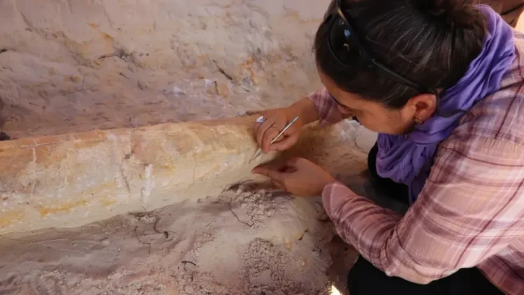 An exceptional archaeological discovery in Algeria – Culture: Al-Khobar