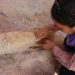 An exceptional archaeological discovery in Algeria – Culture: Al-Khobar