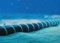 Algeria-Tunisia: A new submarine cable is under study
