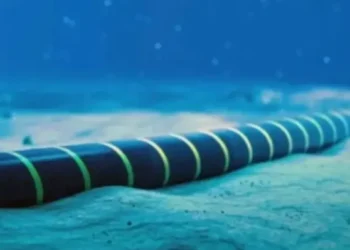 Algeria-Tunisia: A new submarine cable is under study