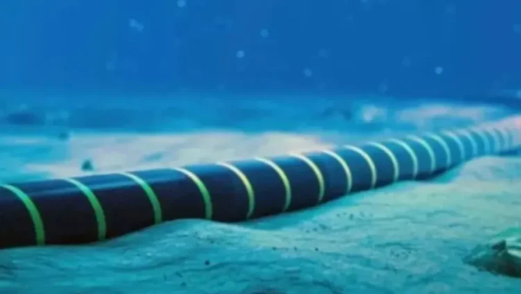 Algeria-Tunisia: A new submarine cable is under study