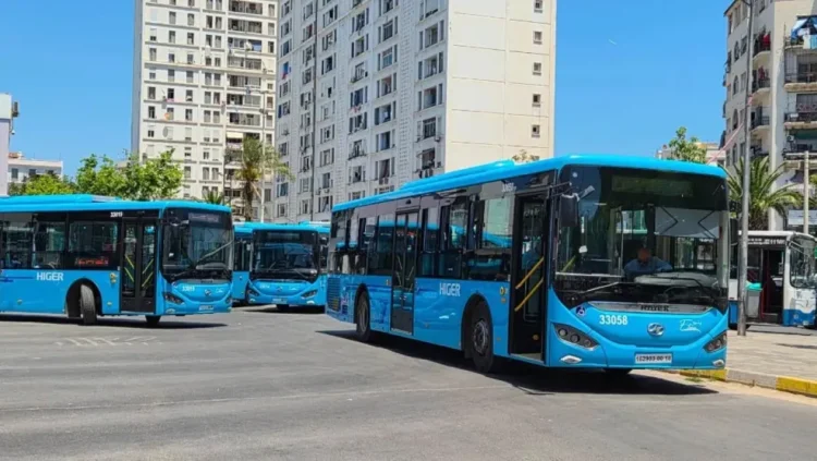Free transportation for baccalaureate candidates – Society: Al-Khobar