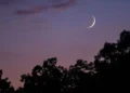 Rulings of God’s month of Muharram – Islamic Affairs: News