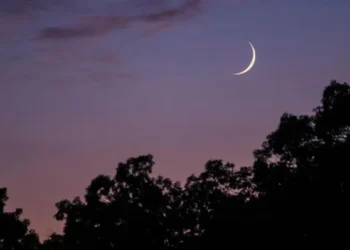 Rulings of God’s month of Muharram – Islamic Affairs: News