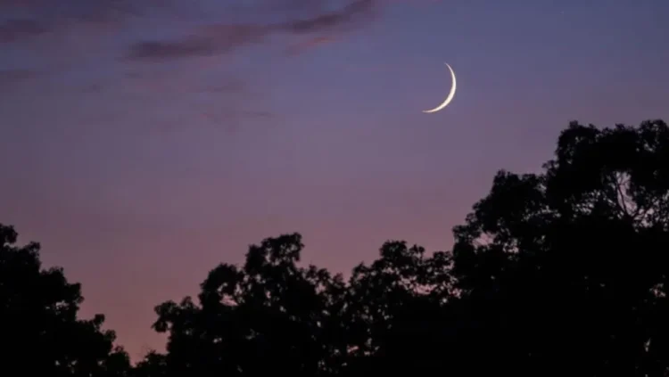 Rulings of God’s month of Muharram – Islamic Affairs: News
