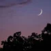 Rulings of God’s month of Muharram – Islamic Affairs: News