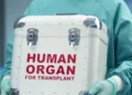 Organizing organ transplantation in Algeria revives patients’ hopes