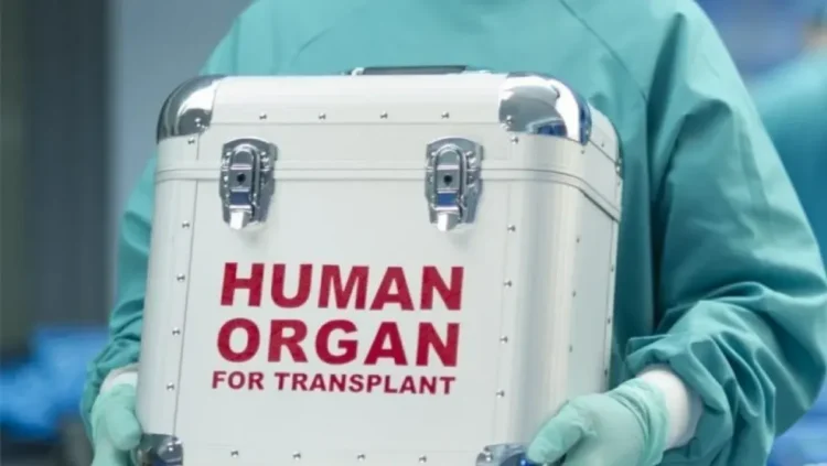 Organizing organ transplantation in Algeria revives patients’ hopes