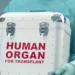 Organizing organ transplantation in Algeria revives patients’ hopes
