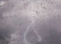 Rain and strong winds in these states