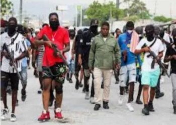 New report examines violence in the Caribbean
