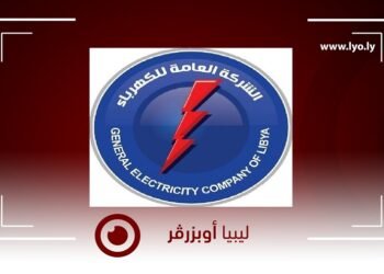New transformer arrives to boost power grid stability in southern Libya