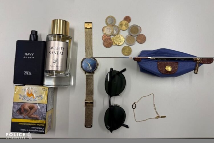 Recovered near Diekirch: Police seek owners of suspected stolen goods