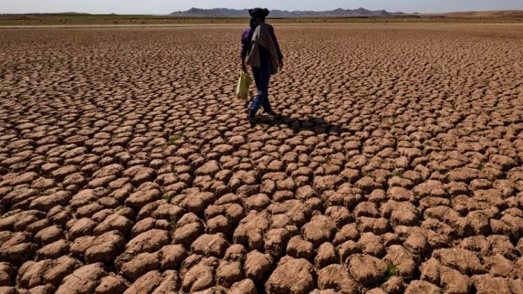 Morocco’s desalination strategy: A blueprint for Africa?