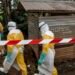 Ebola recoveries bring signs of hope in DRC as suspected cases emerge outside Africa