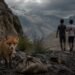 Flayers in Tajikistan cut off the ears of a baby fox. The public demands severe punishment for the perpetrators