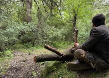 Forests are being cut down in the Kulyab region. And the authorities can’t do anything about it