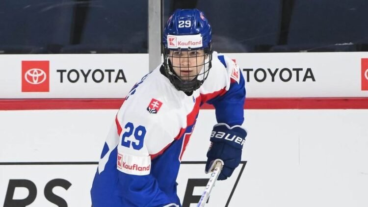 Seven Slovaks will be drafted, the expert thinks. Which clubs could choose them?