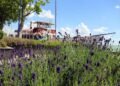 Hungary Offers Austrians the Best Vacation Value Close to Home