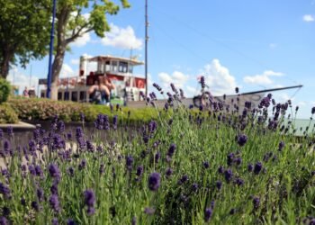 Hungary Offers Austrians the Best Vacation Value Close to Home