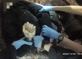 ‘I Can’t Breathe’: UK Bodycam Footage of Dying Student Henry Nowak Sparks Police Racism Row