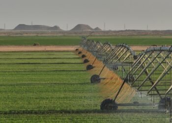 How Al Dahra Kept UAE Food Supplies Flowing Amid Global Shipping Disruption