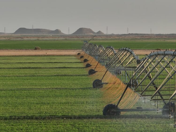 How Al Dahra Kept UAE Food Supplies Flowing Amid Global Shipping Disruption