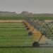 How Al Dahra Kept UAE Food Supplies Flowing Amid Global Shipping Disruption