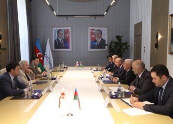 Azerbaijan and Georgia weigh up development prospects for energy cooperation