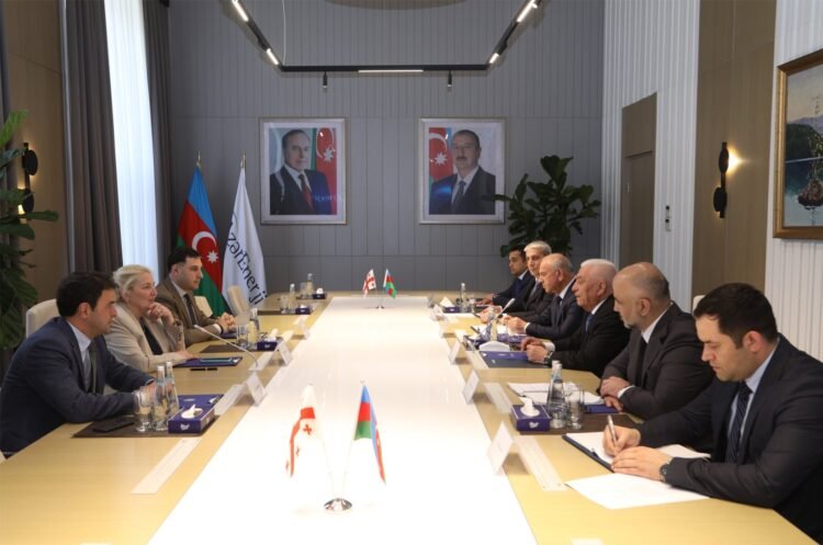 Azerbaijan and Georgia weigh up development prospects for energy cooperation