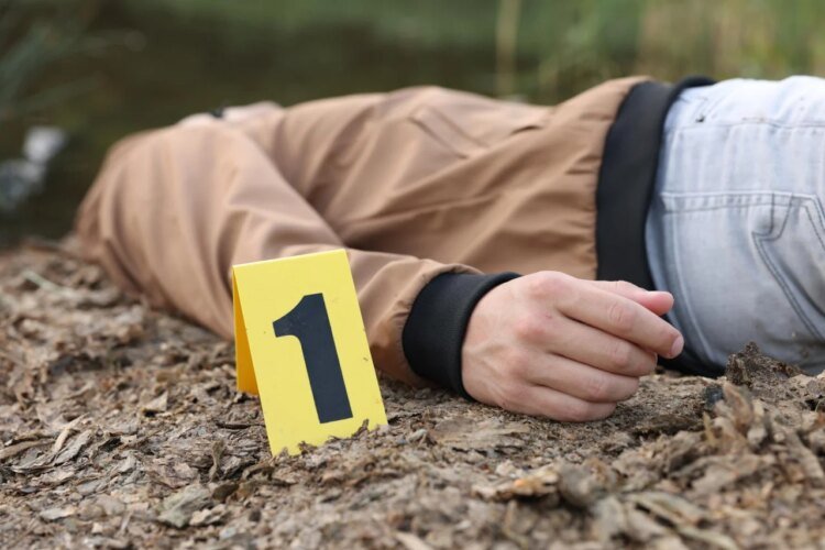 Slobodna Dalmacija – This ad became a hit: a 50-year-old dead man is wanted! The comments went in a completely different direction: ‘Anyone can do it’