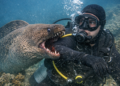 Slobodna Dalmacija – An unexpected attack in the depths: a moray eel bit a diver, the teeth pierced the thick diving suit, he ended up needing stitches…