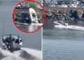 Slobodna Dalmacija – The American was driving a speedboat, suddenly lost consciousness and crashed into the shore with all his might. Cameras recorded the entire accident