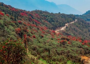 Haa’s Tergola Emerges as Bhutan’s New Model for Nature-Based Tourism