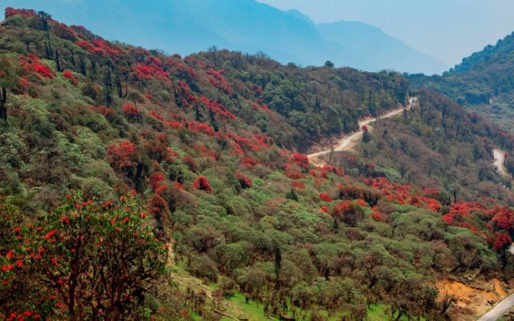 Haa’s Tergola Emerges as Bhutan’s New Model for Nature-Based Tourism