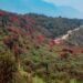Haa’s Tergola Emerges as Bhutan’s New Model for Nature-Based Tourism