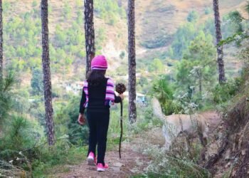 Discover the Serenity of Mashobra: Himachal’s Hidden Gem