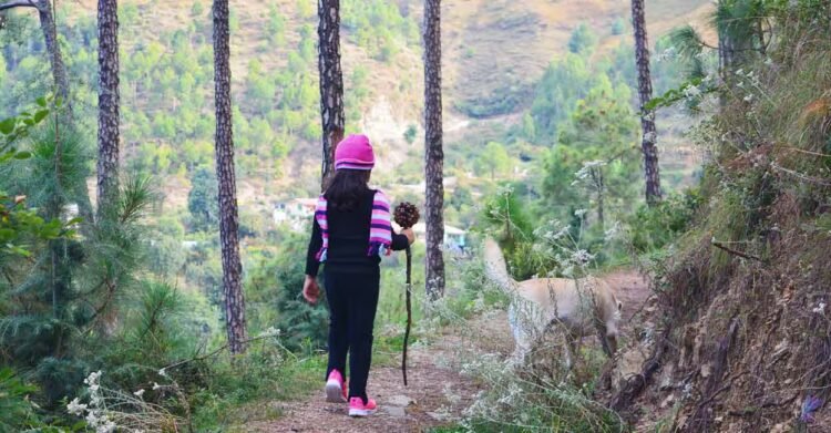 Discover the Serenity of Mashobra: Himachal’s Hidden Gem